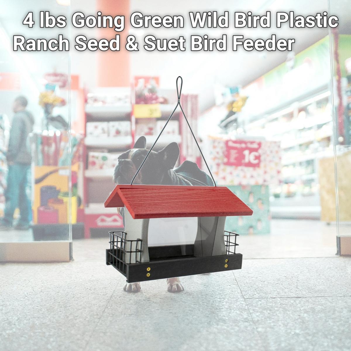 Picture of Woodlink 8041134 4 lbs Going Green Wild Bird Plastic Ranch Seed & Suet Bird Feeder