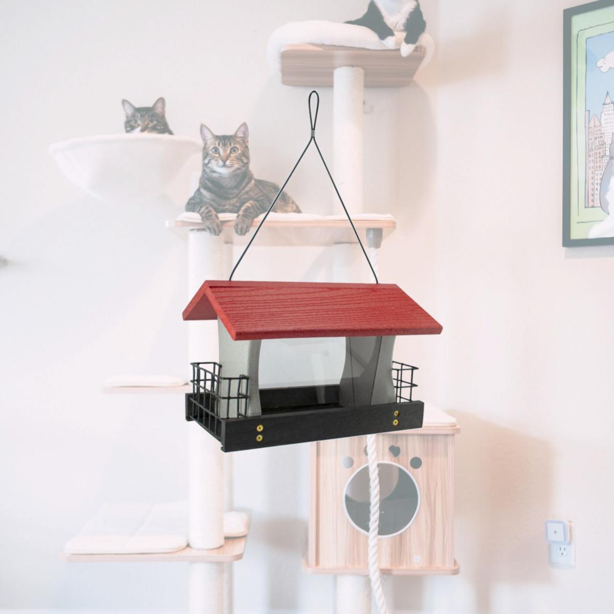 Picture of Woodlink 8041134 4 lbs Going Green Wild Bird Plastic Ranch Seed & Suet Bird Feeder