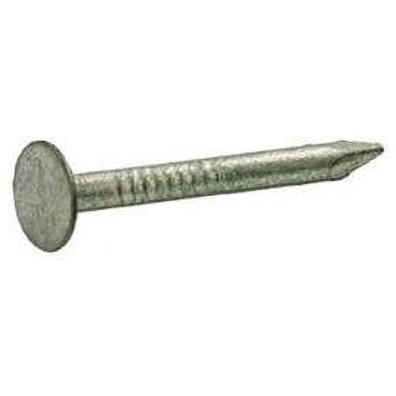 Grip-Rite 5025235 1 lbs 2 in. Roofing Hot-Dipped Galvanized Steel Nail with Smooth Shank Flat - Pack of 12 -  Grip Rite