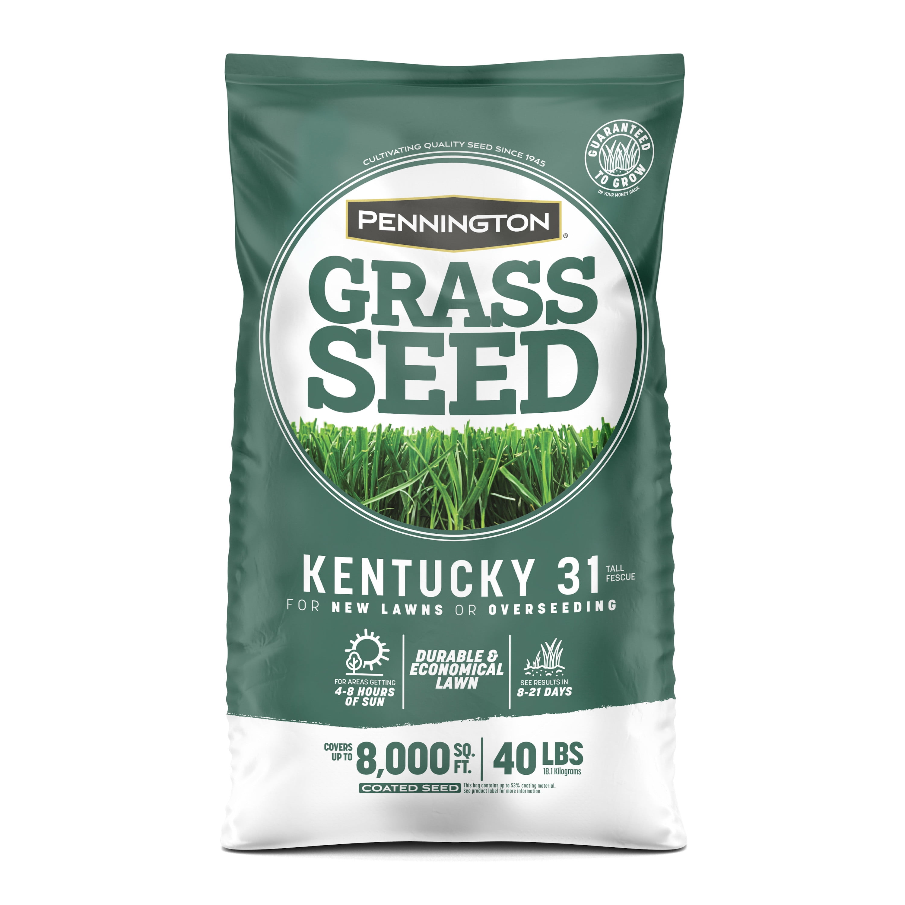 40 lbs Kentucky 31 Tall Fescue Medium Shade Grass Seed