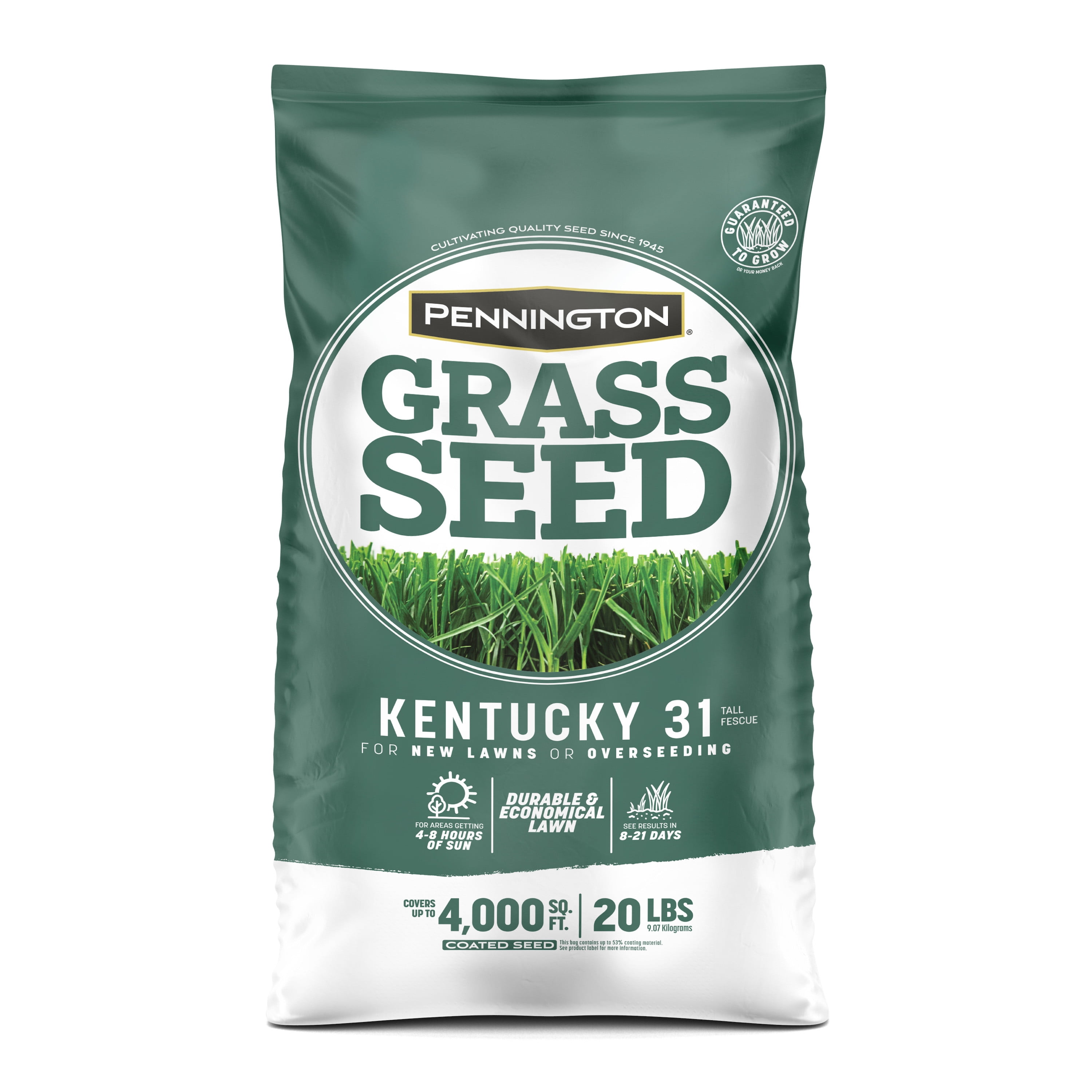 20 lbs Kentucky 31 Tall Fescue Medium Shade Grass Seed