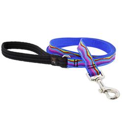 Lupine 8066761 Original Designs Multicolored Ripple Creek Nylon Dog Leash, Multi Color - Medium & Large