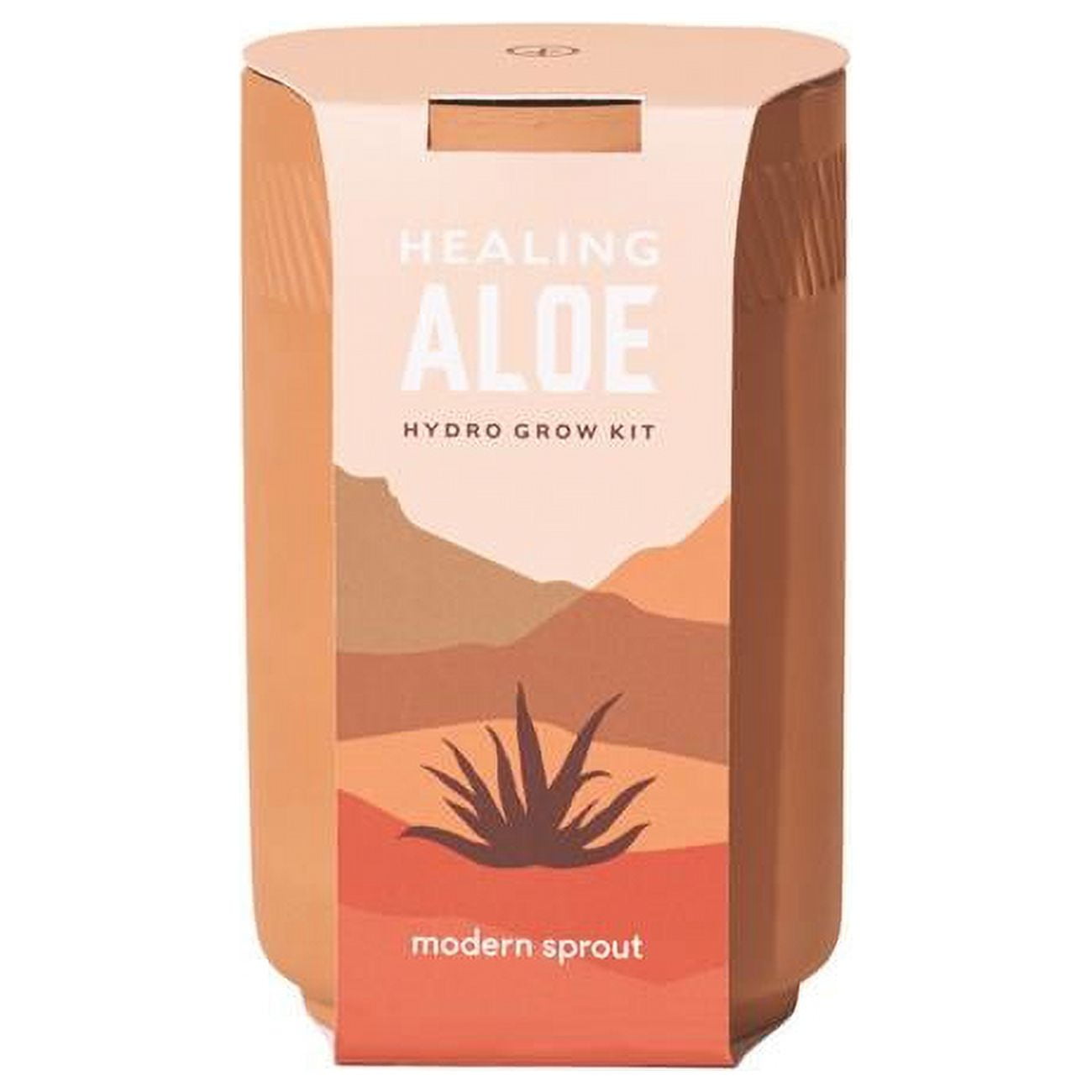 Healing Aloe Succulent Seed Starter Kit - Pack of 6