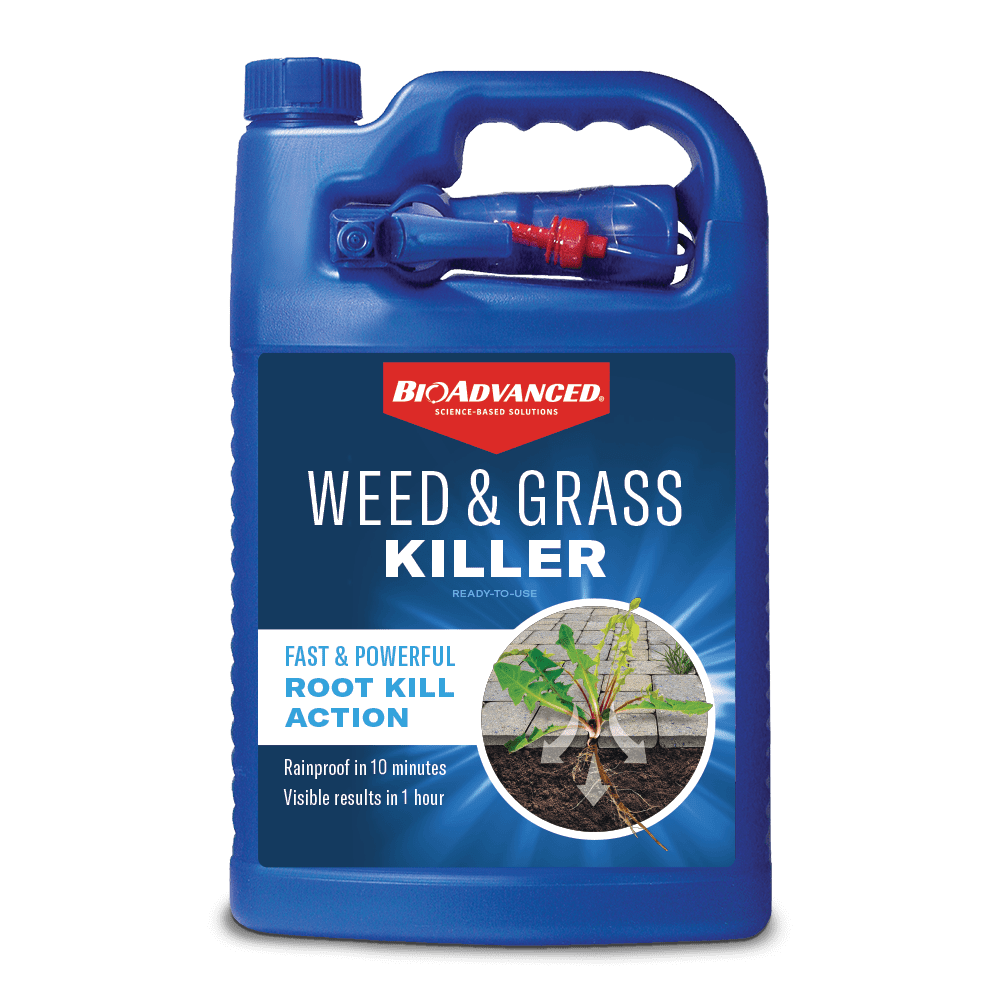 Picture of Bioadvanced 7026011 1 gal Weed & Grass Killer RTU Liquid