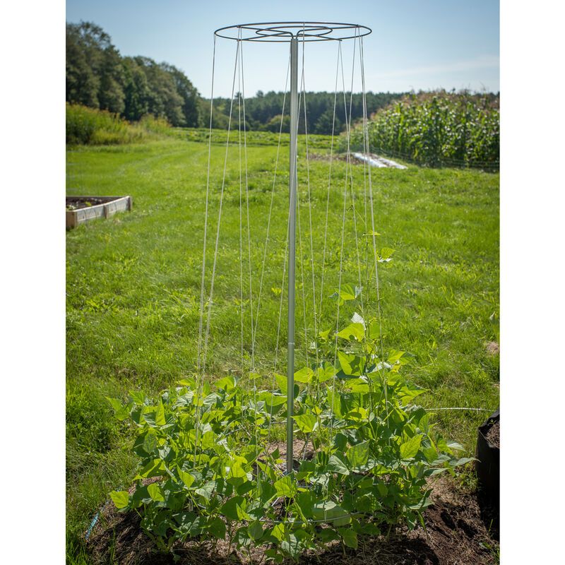 BT27 60 Inch Bean and Pea Tower - Silver/Steel