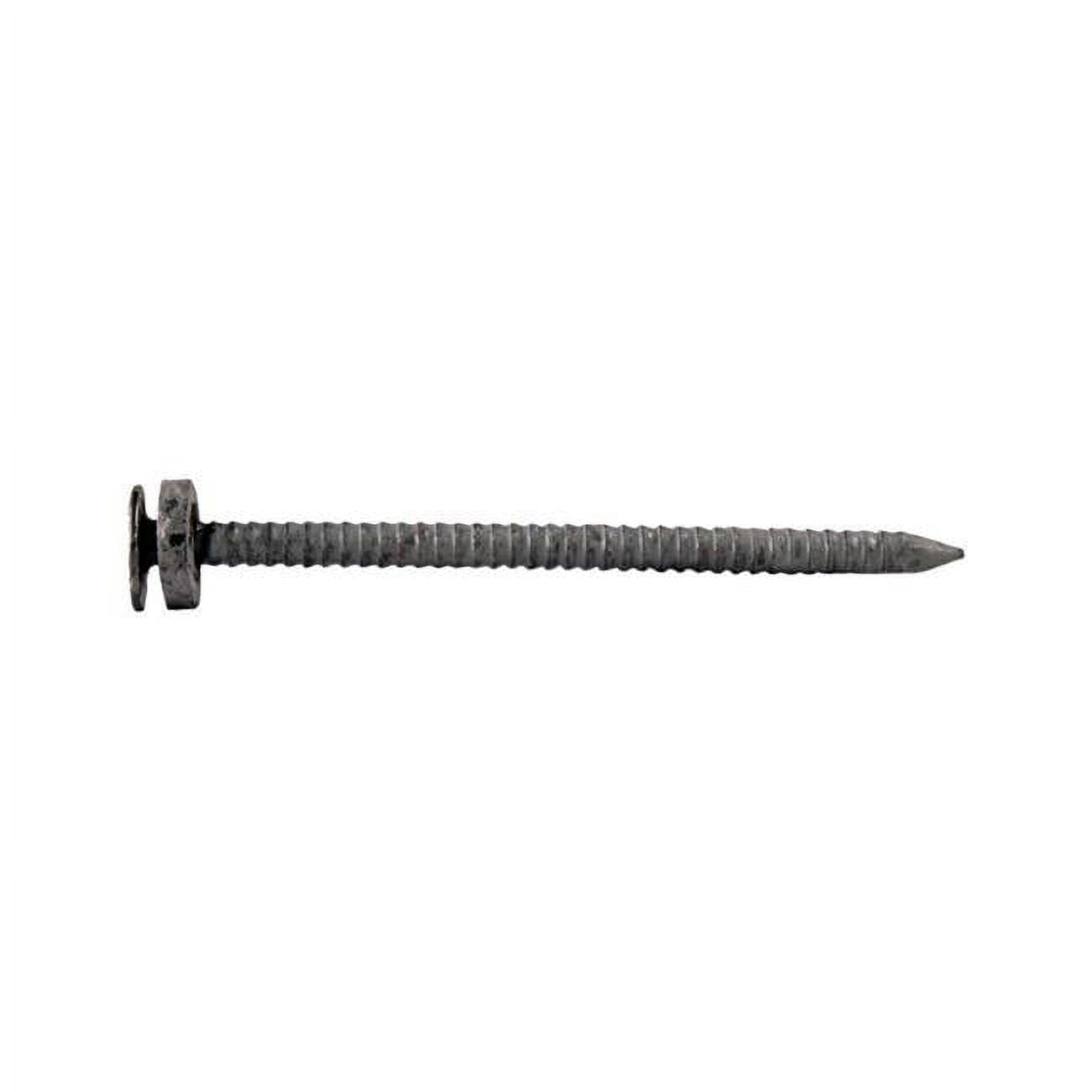 1.75 in. 5 lbs Washer Roofing Nail