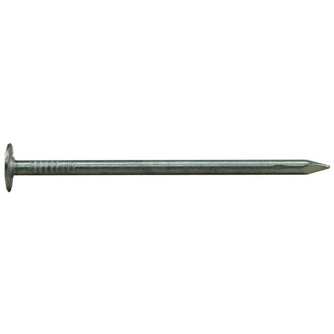 3 in. 1 lbs Roofing Hedge Nail
