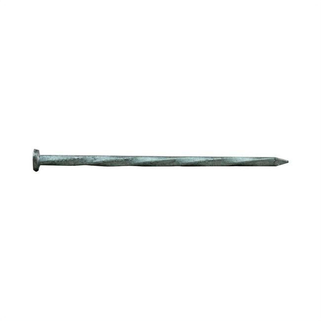2.5 in. Hedge Siding Nail