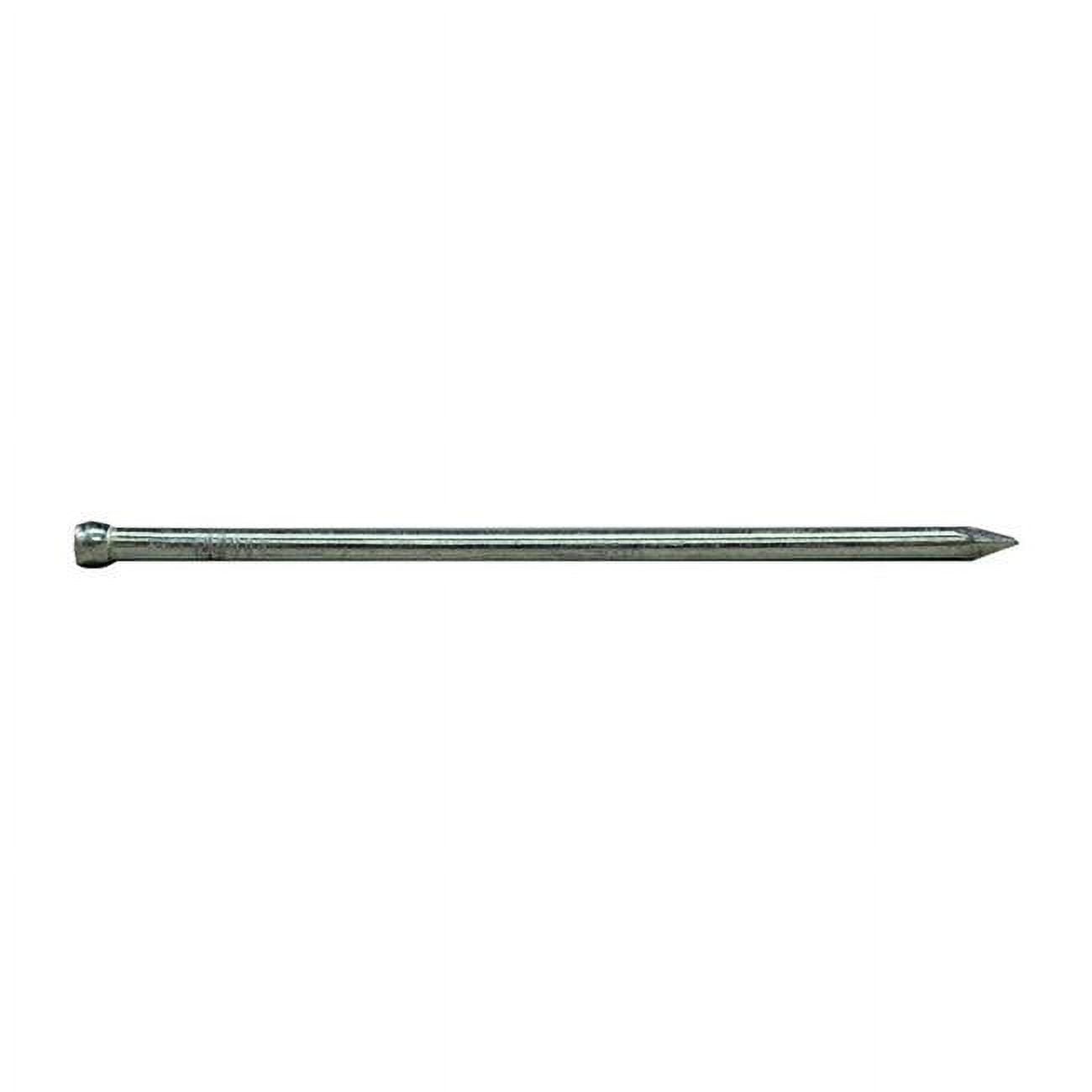 6D 1 lbs Bright Finish Nail