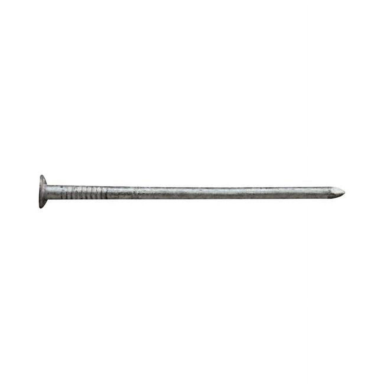 1.5 in. B4D 1 lbs Box Nail Bracket