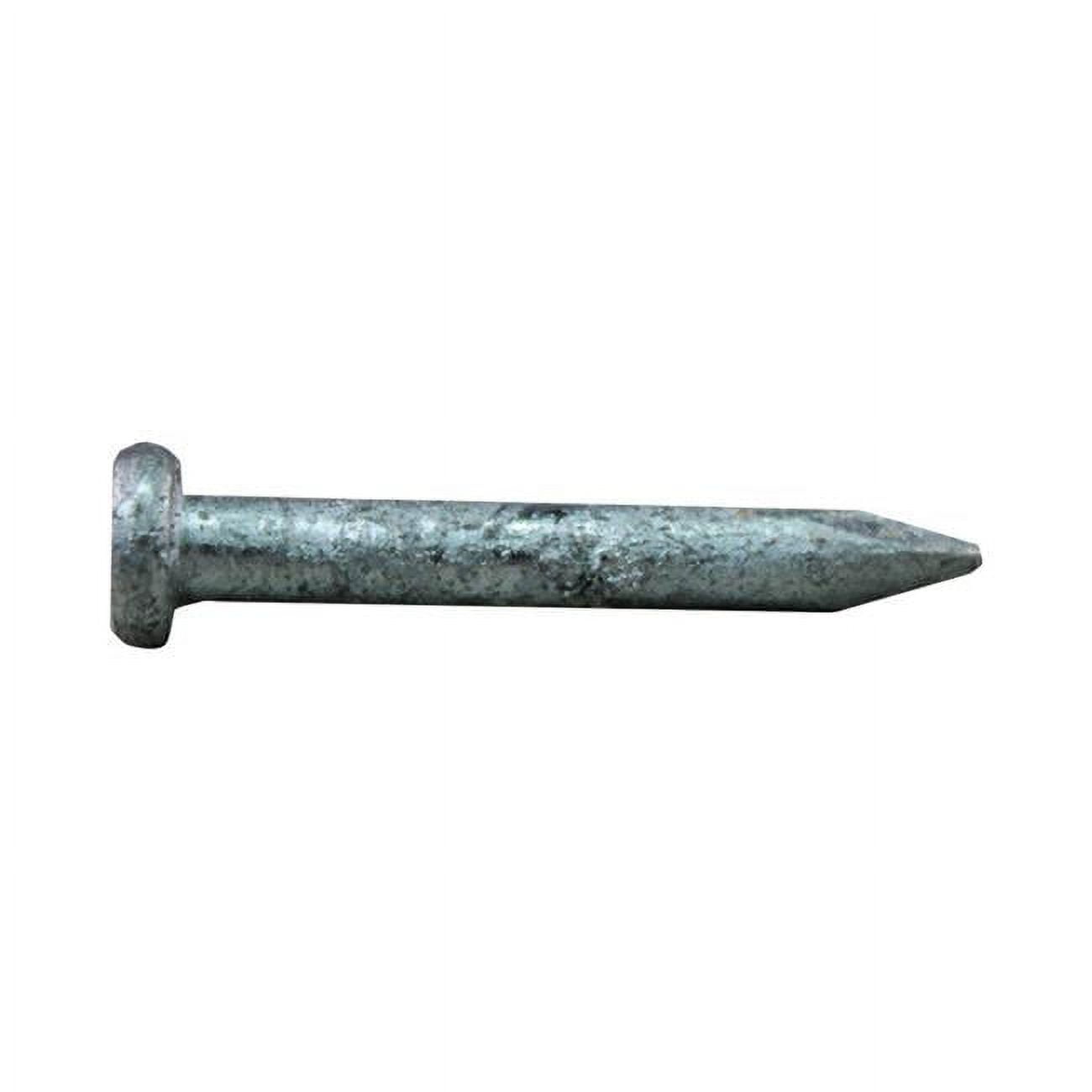 1.25 in. 1 lbs Joist Hanger Nail