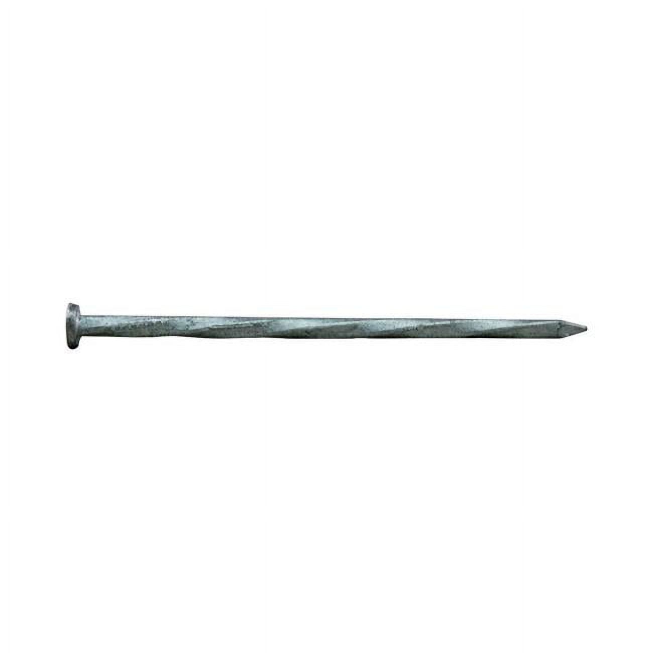 2 in. 1 lbs Hedge Siding Nail