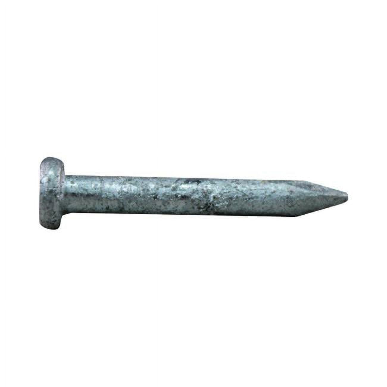 1.5 in. 1 lbs Joist Hanger Nail