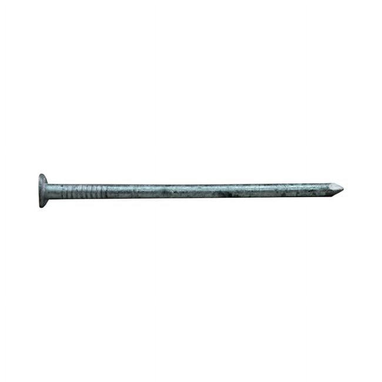 2.5 in. 8D 1 lbs HDG Box Nail
