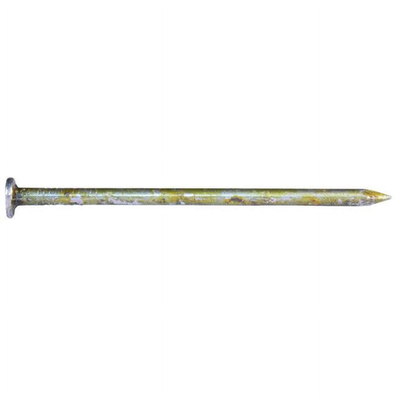 3.12 in. 12D 1 lbs Sinker Nail