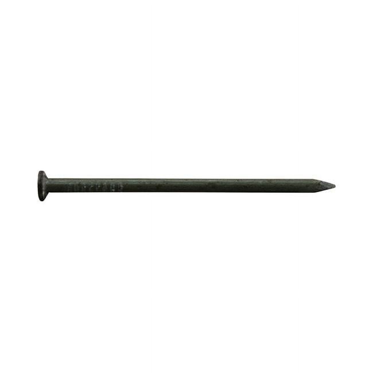 3 in. 10D 5 lbs Common Nail Bracket