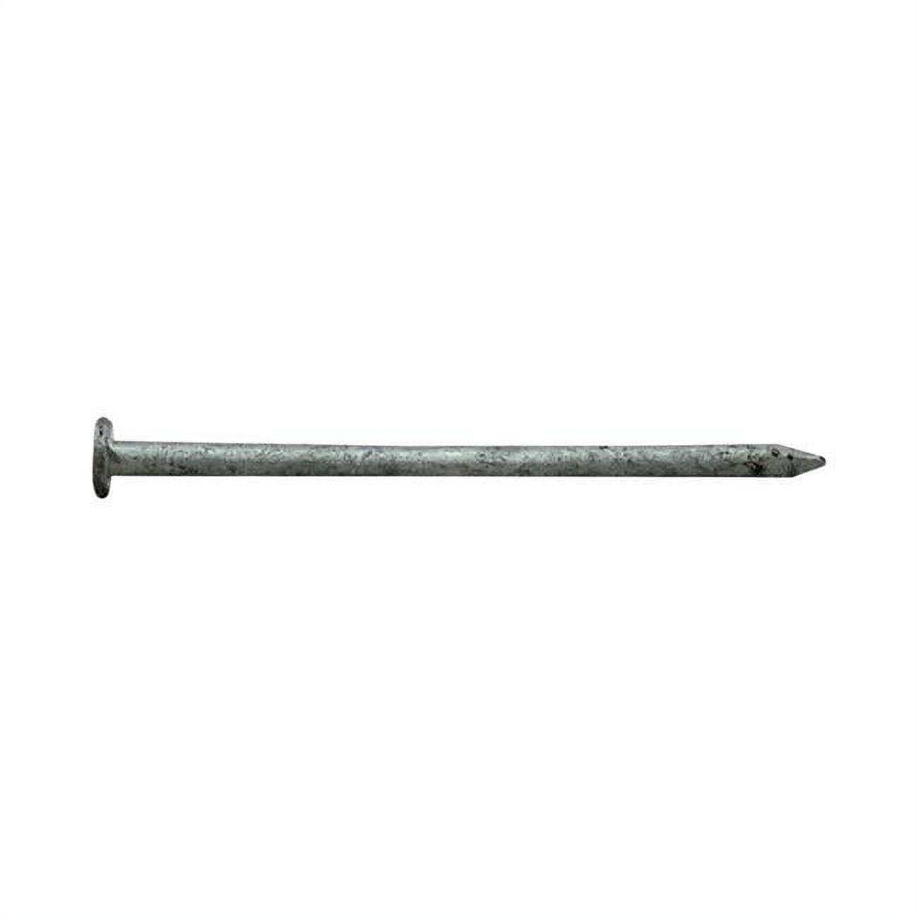 2.5 in. 8D 5 lbs Common Nail
