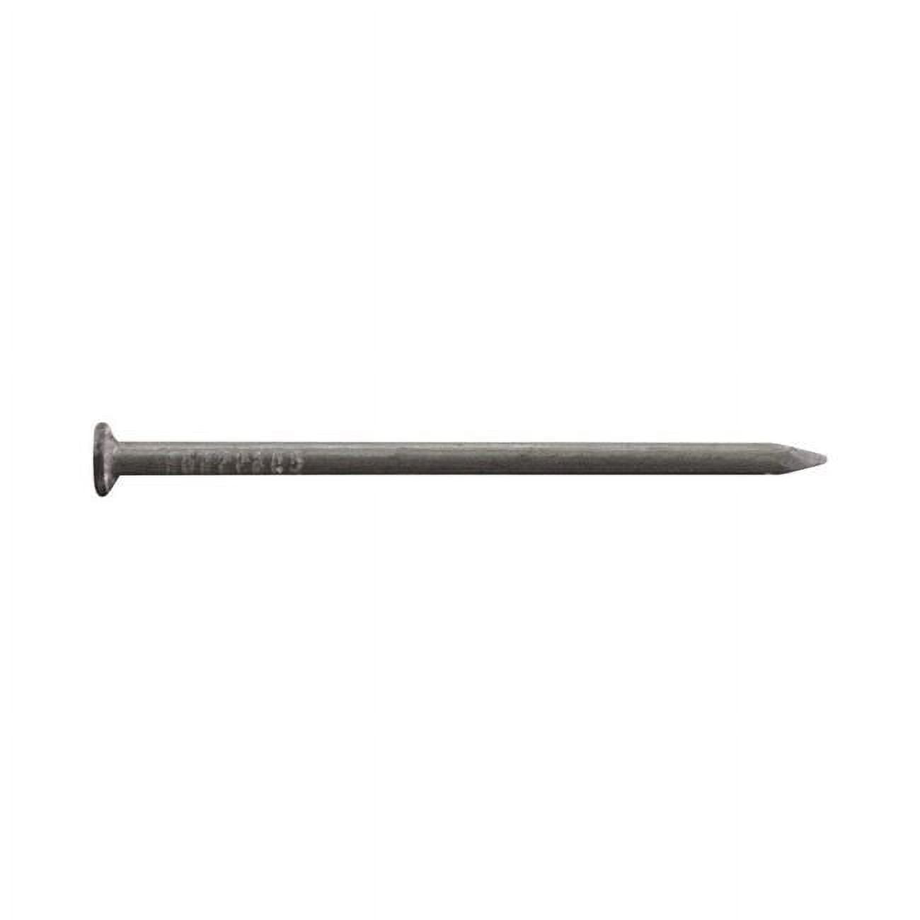 4 in. 20D 5 lbs Common Nail Bracket
