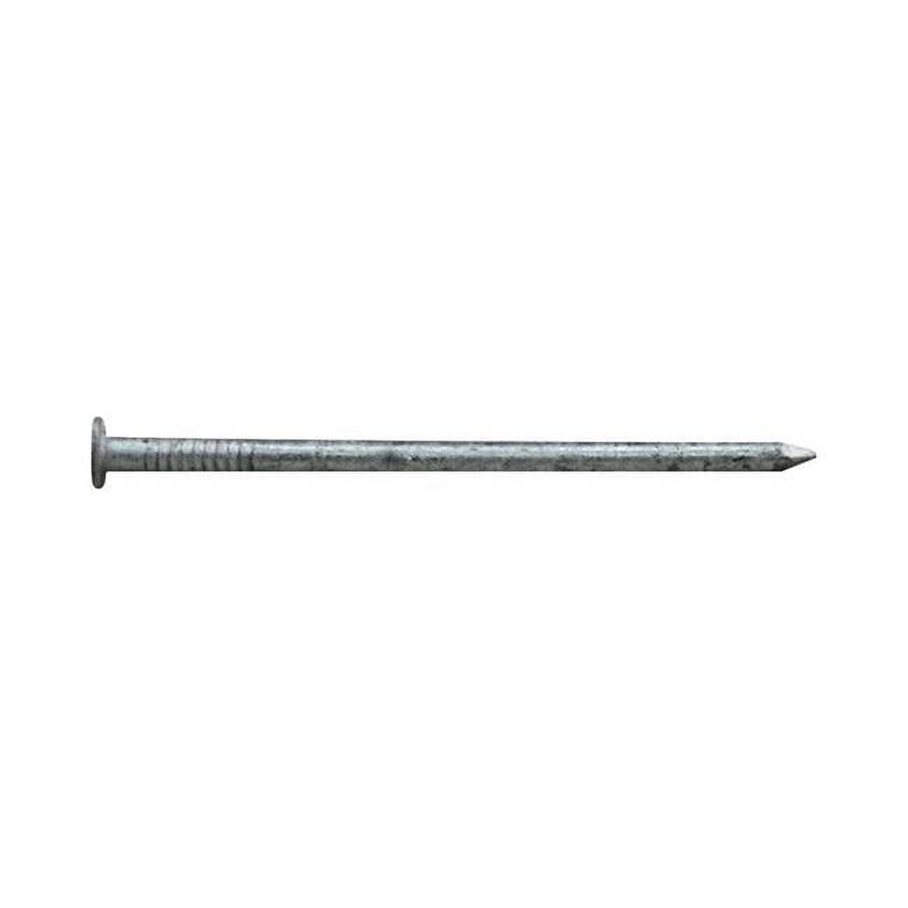 2 in. 6D 5 lbs HDG Box Nail