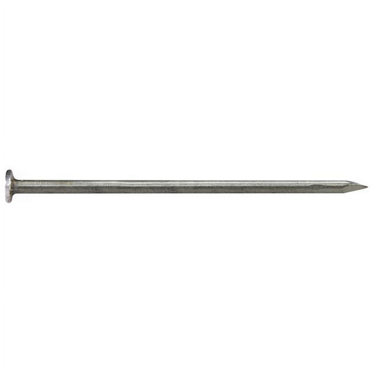 5693064 2.87 in. 8D 5 lbs Sinker Nail