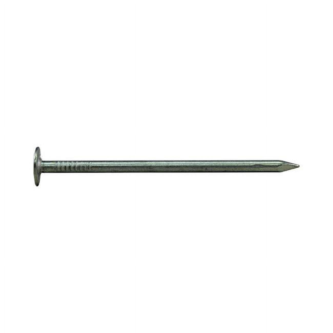 1.25 in. 5 lbs EG Roofing Nail