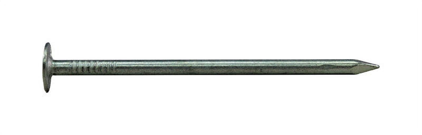 1.5 in. 1 lbs EG Roofing Nail