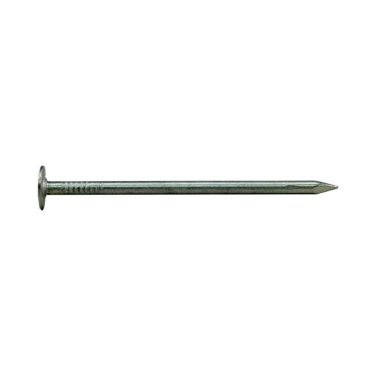 1.75 in. 1 lbs EG Roofing Nail
