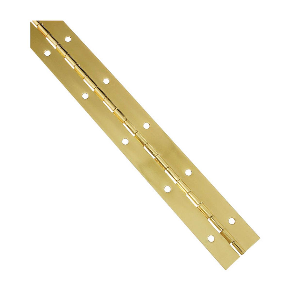 1.5 x 12 in. Continuous Hinges in Brass