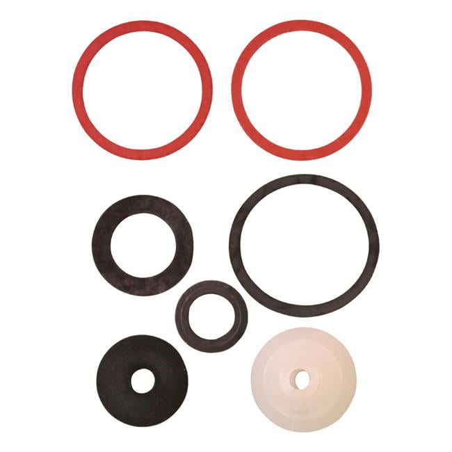 1 in. Champion Valve Rebuild Kit