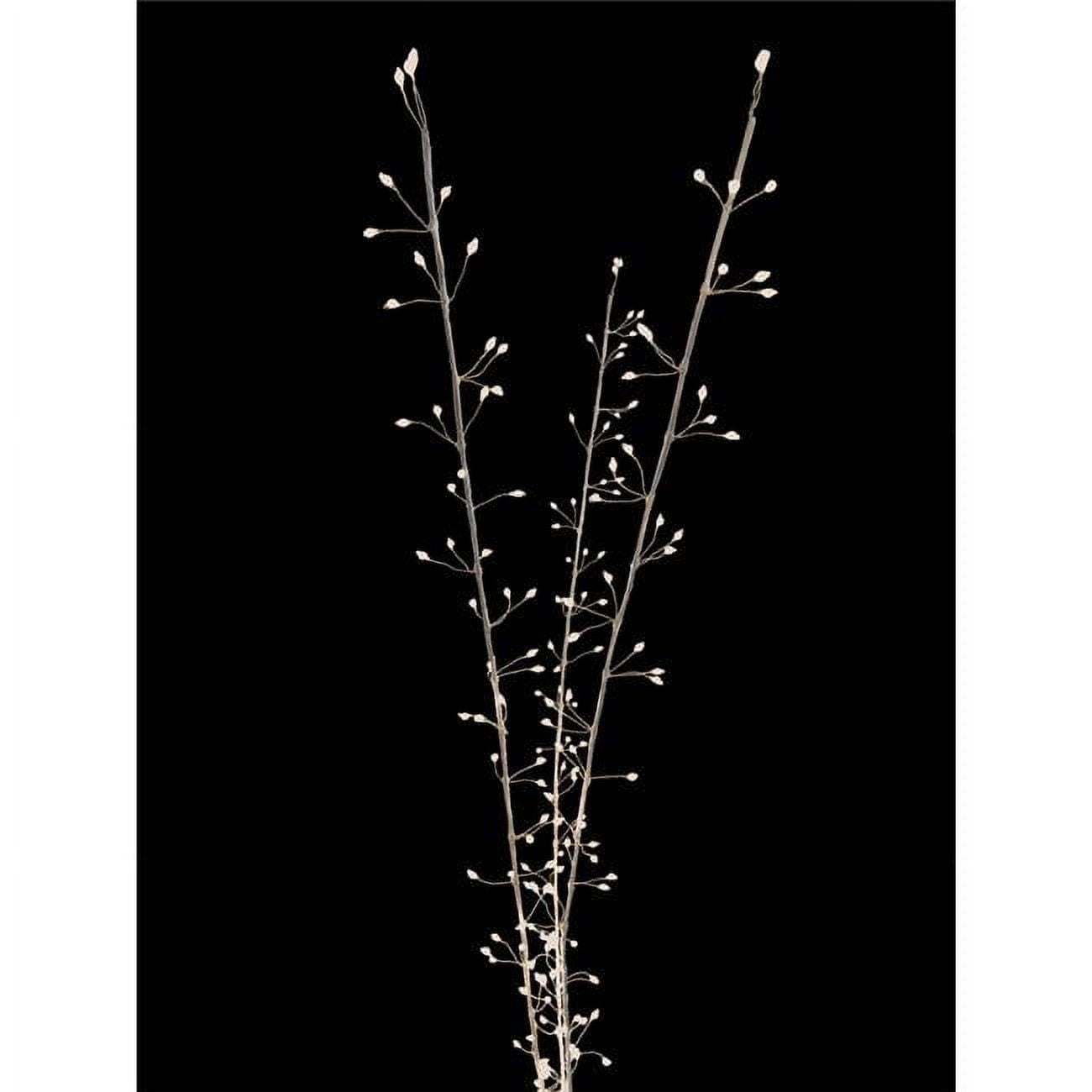 Picture of Celebrations 9070912 38 in. LED Warm White Lighted Branches Accessory