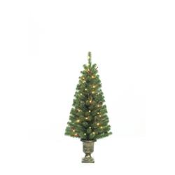 Picture of Celebrations 9044217 4 ft. Pencil Incandescent 35 Lights Northern Pine Entrance Tree&#44; Clear