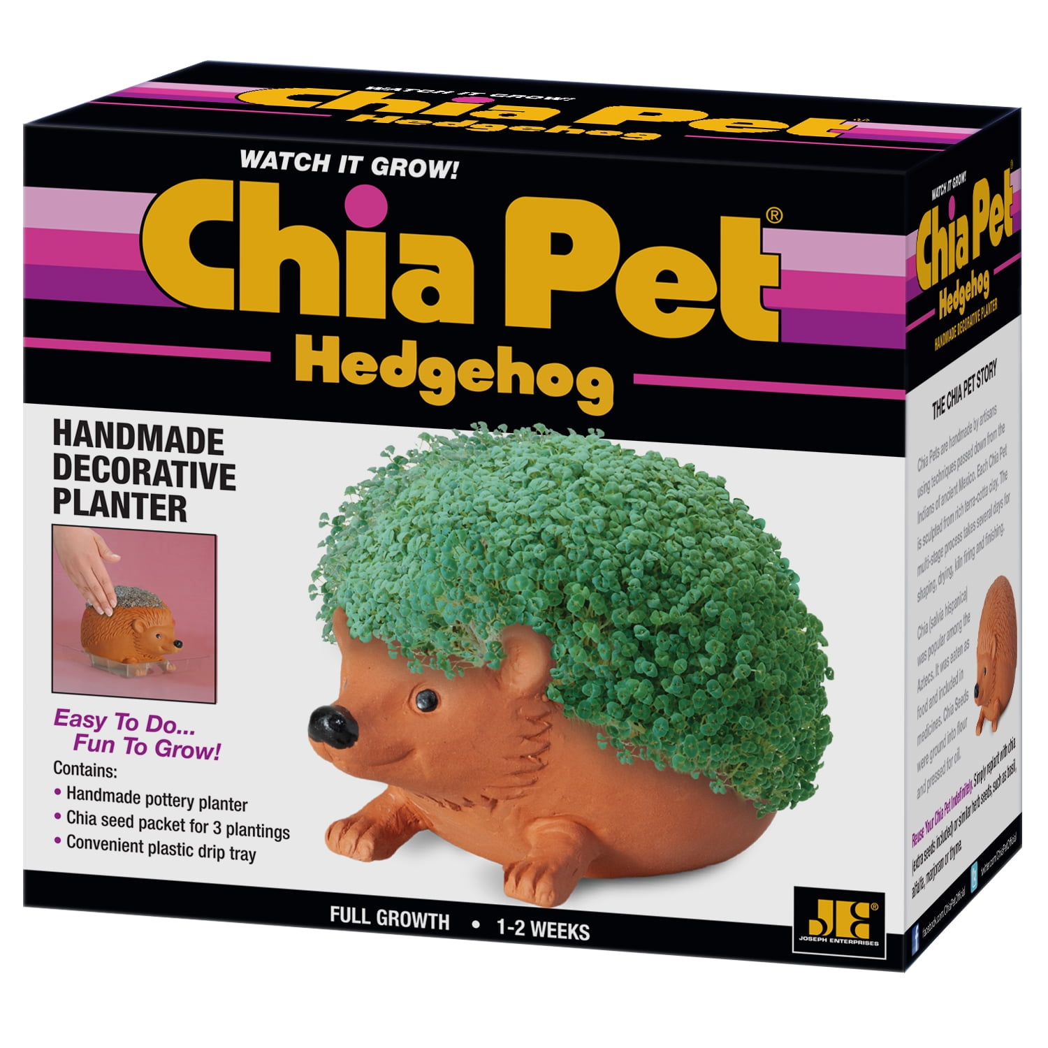 Picture of Chia Pet 9036671 Hedgehog Decorative Planter Clay&#44; Brown