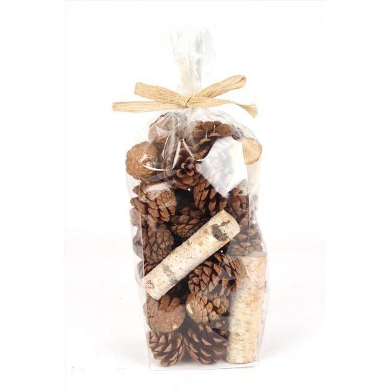 Natural Birch & Pinecone Indoor Christmas Decor, Natural
