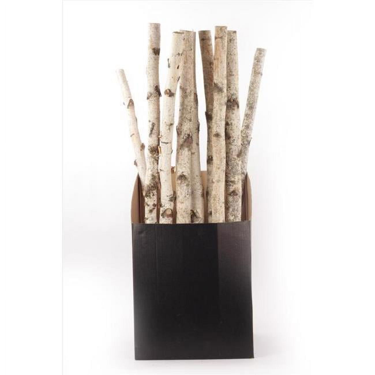 Indoor Christmas Decor  Natural - Pack of 10