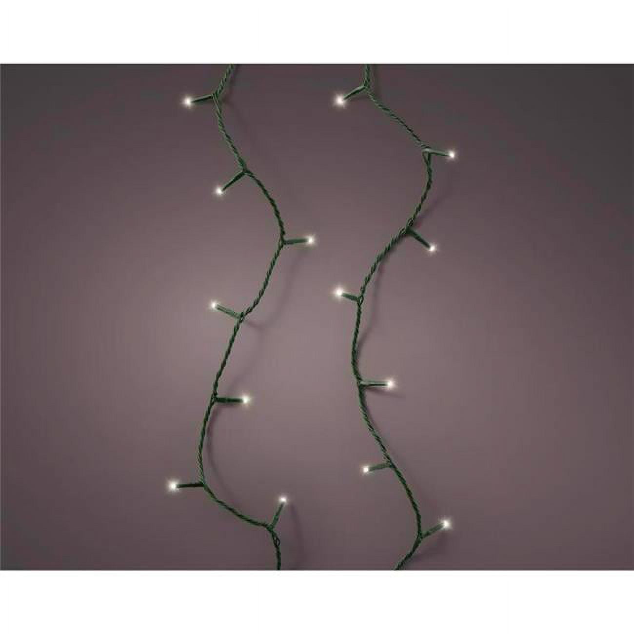 61.35 ft. Gold LED Clear & Warm White Christmas Lights - 250 Count