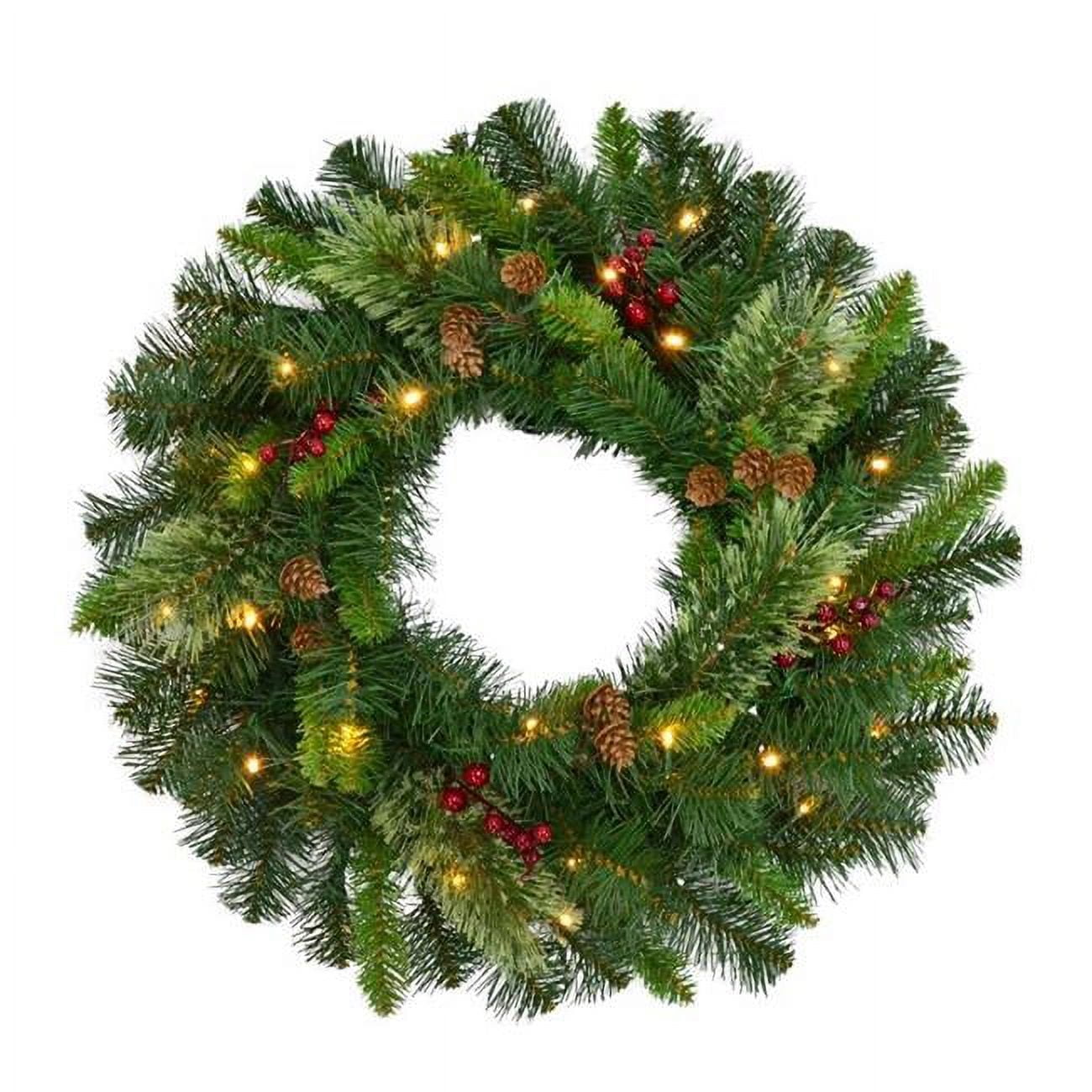 Picture of Celebrations 9080647 24 in. Home LED Prelit Wreath&#44; Warm White - Pack of 4