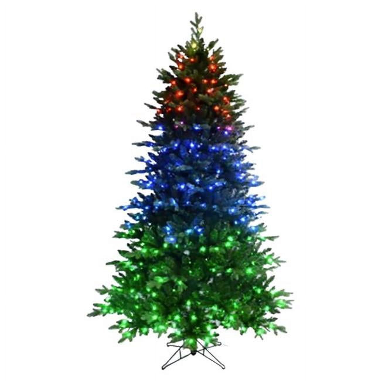 Picture of Celebrations 9080833 7 ft. Slim LED Fraser Fir Color Changing Christmas Tree&#44; Multi Color & Warm White - 400 Count