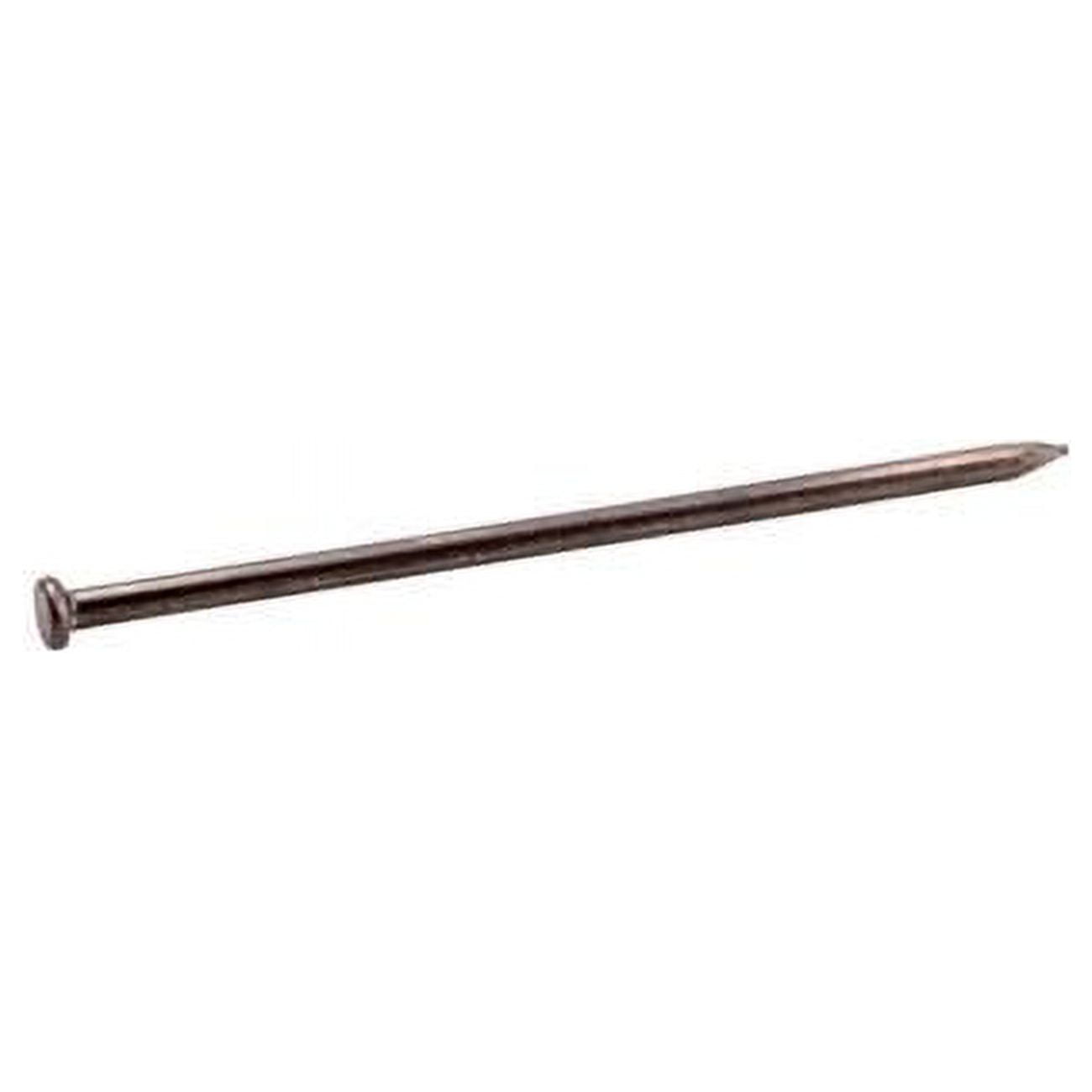 8 in. 5 lbs Spike Bright Steel Nail Flat Head, Silver
