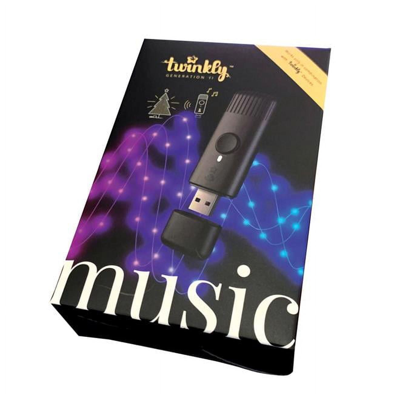 9066832 Twinkly Christmas Light Accessory, Black
