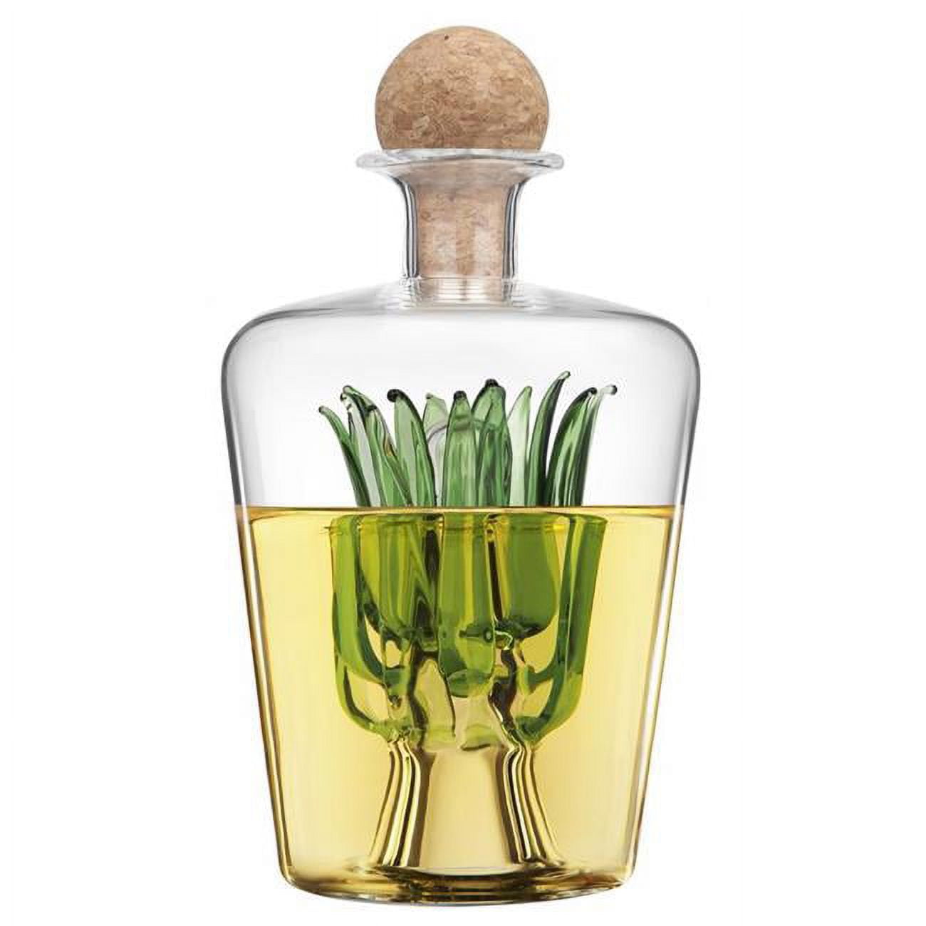 6058281 28.7 oz Glass Tequila Decanter, Clear