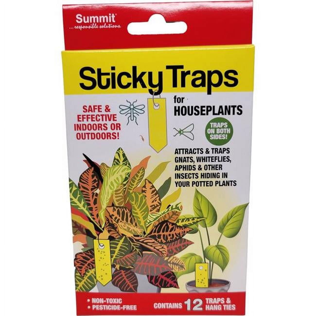 Sticky Trap - 12 Piece - Pack of 24