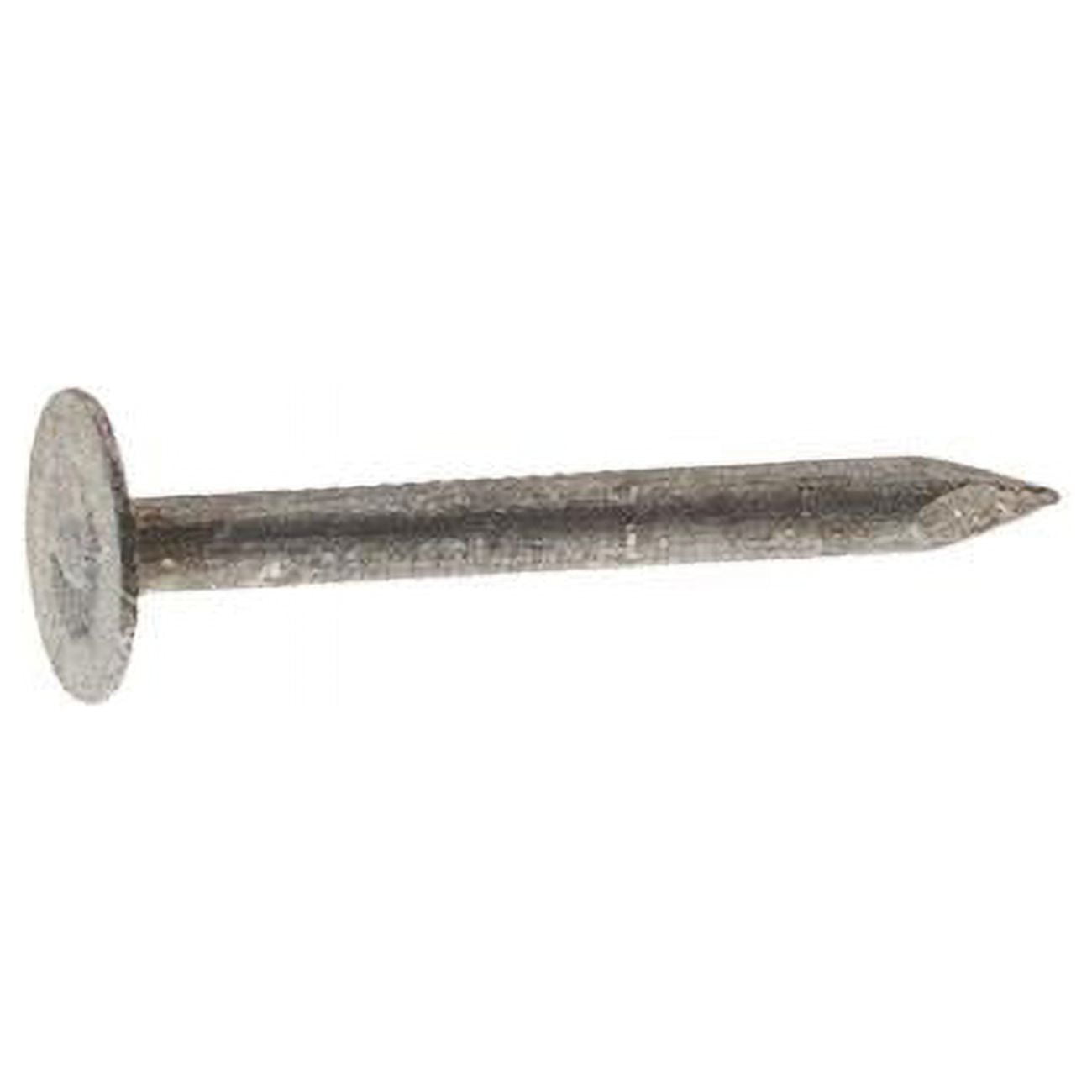 3 in. Roofing Electro-Galvanized Steel Flat Head Nail, Gray - 50 lbs