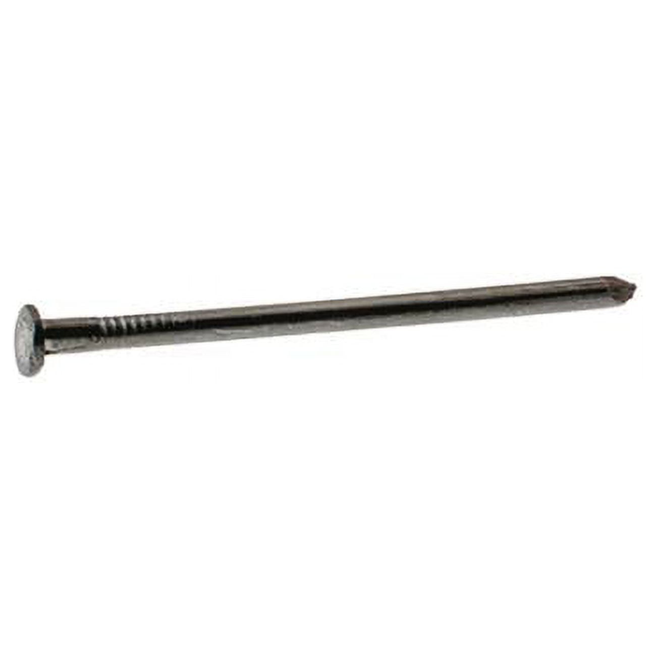 3 in. 10D Common Bright Steel Flat Head Nail, Gray - 30 lbs