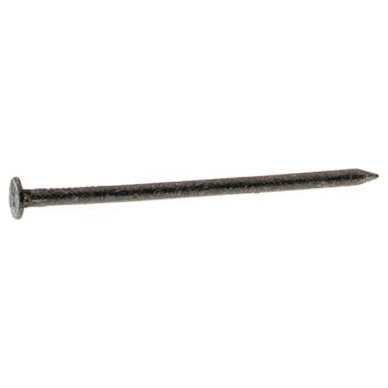2.5 in. 8D Box Hot-Dipped Galvanized Steel Flat Head Nail, Gray - 30 lbs