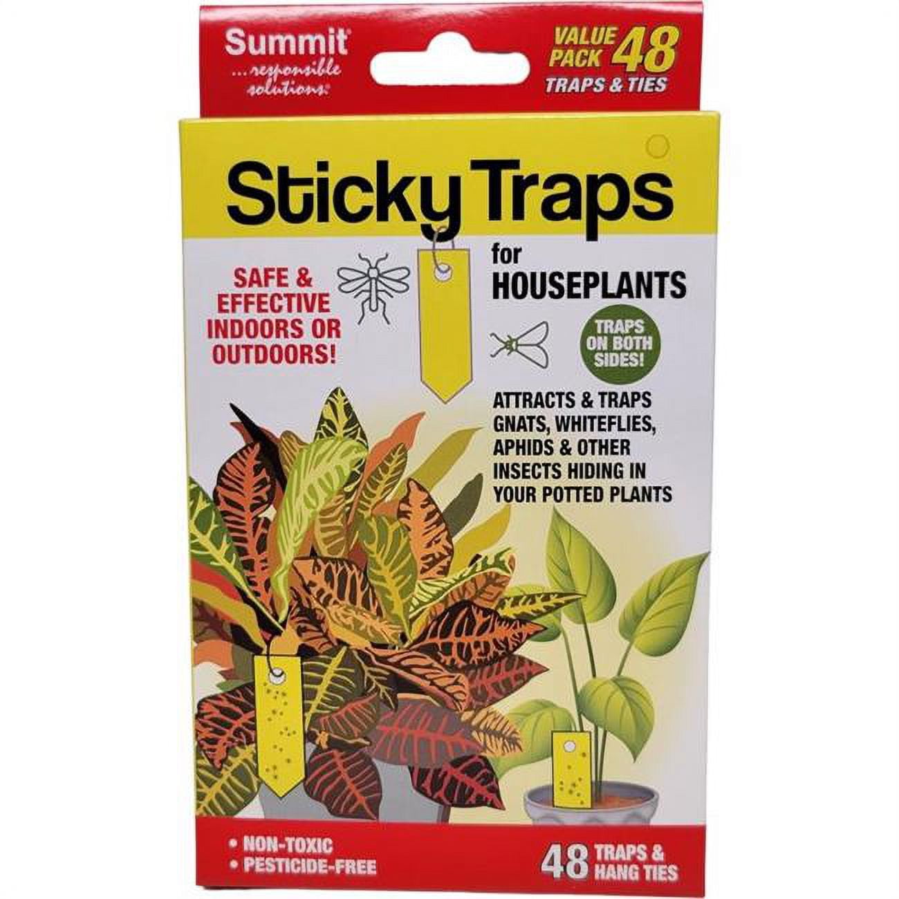Sticky Trap - 48 Piece - Pack of 12