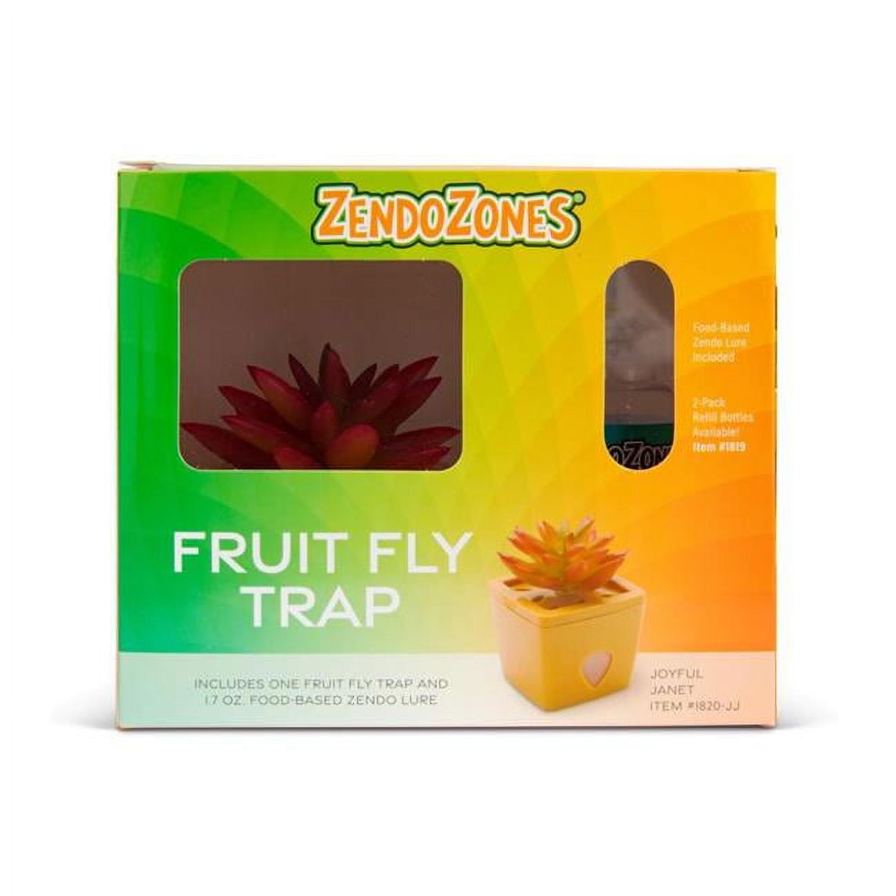 Fruit Fly Trap - Terracotta - 1 Box - Pack of 6