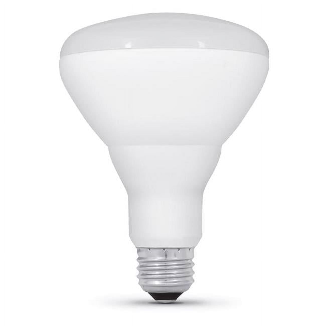 Reflector LED Light Bulb