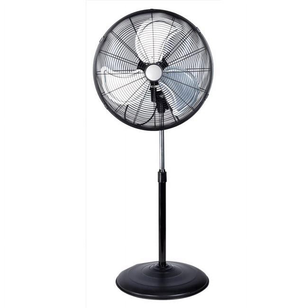 30.75 x 20 in. Black Oscillating Pedestal Fan