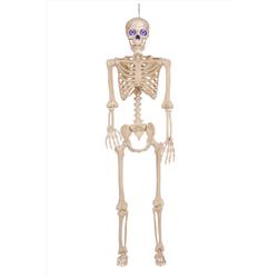 9087051 60 in. ED Skeleton Halloween Decor, Multi Color