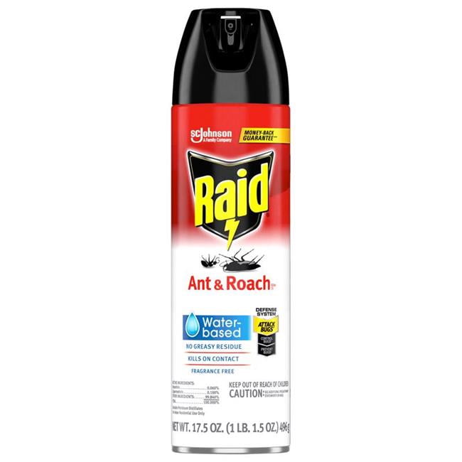 Ant & Roach Killer Spray - 17.5 oz